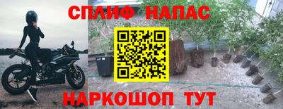 jwh Кандалакша