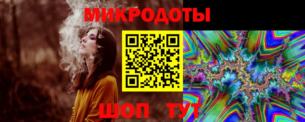 Галлюциногенные грибы Psilocybine cubensis Усть-Илимск