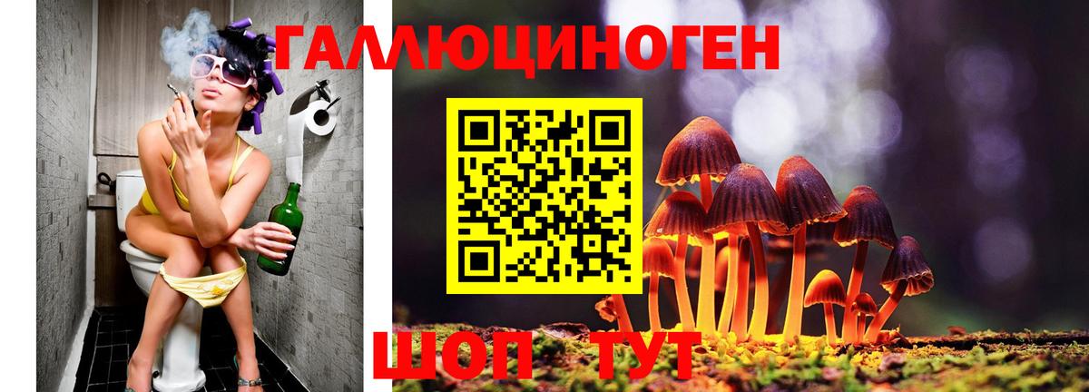Псилоцибиновые грибы MAGIC MUSHROOMS  Вход с VPN  Псилоцибиновые грибы Magic Shrooms  Усть-Илимск 